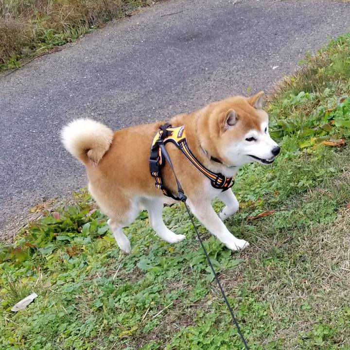 5c213ba5 8258 4aaf 9327 6f4069c3564e 1604729592332