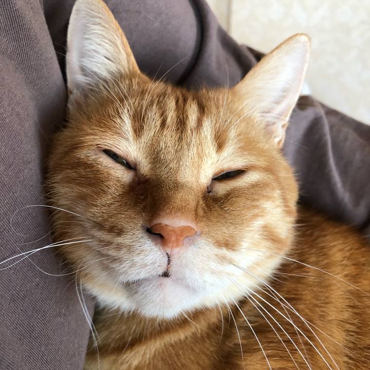 5c2149ee d81b 4fff b385 2bba14dd4587 1637201771699