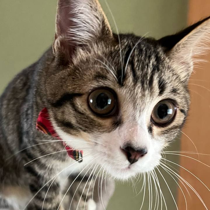 5c215f08 9736 4fd3 9f4d 069efc535bd6 1693738063196