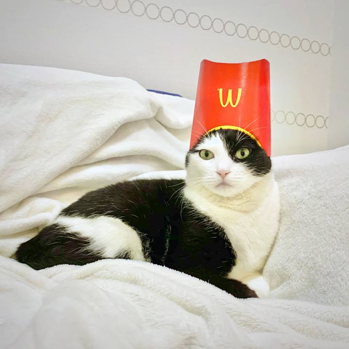 5c216e87 90f8 4e74 8257 f98cc1139ec4 1615861260276