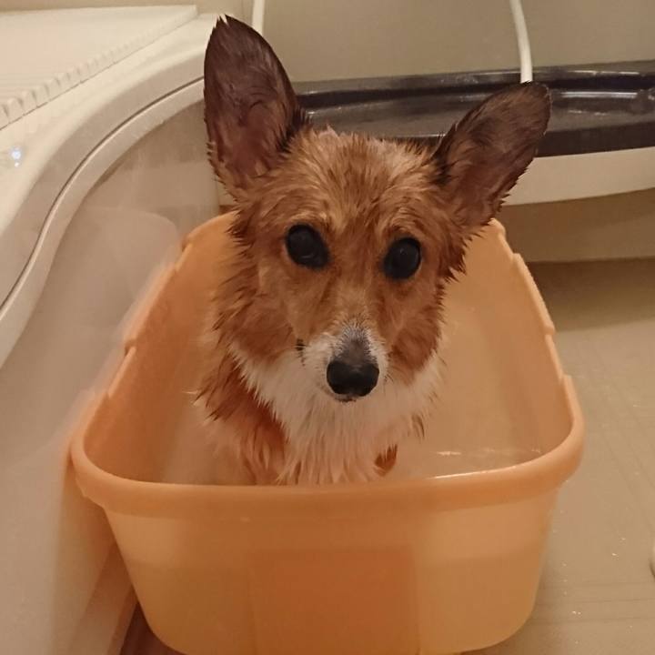 5c219261 b90c 4398 8c63 dd467ae2796c 1545911105457