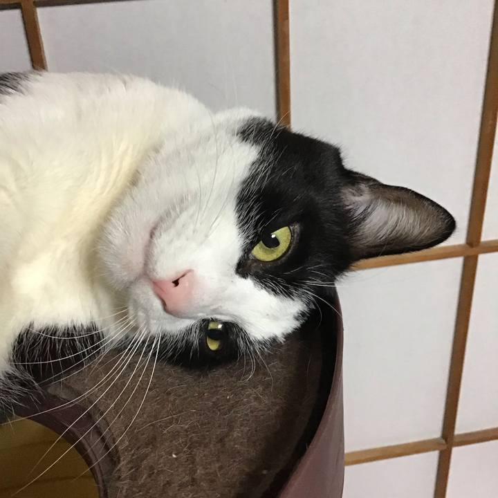 5c219ebd 1c89 4237 a731 79353a4dd9a9 1737109584939