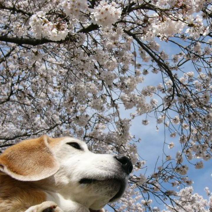 5c21e0c9 3419 4d06 a730 ca67a246979b 1679622641527