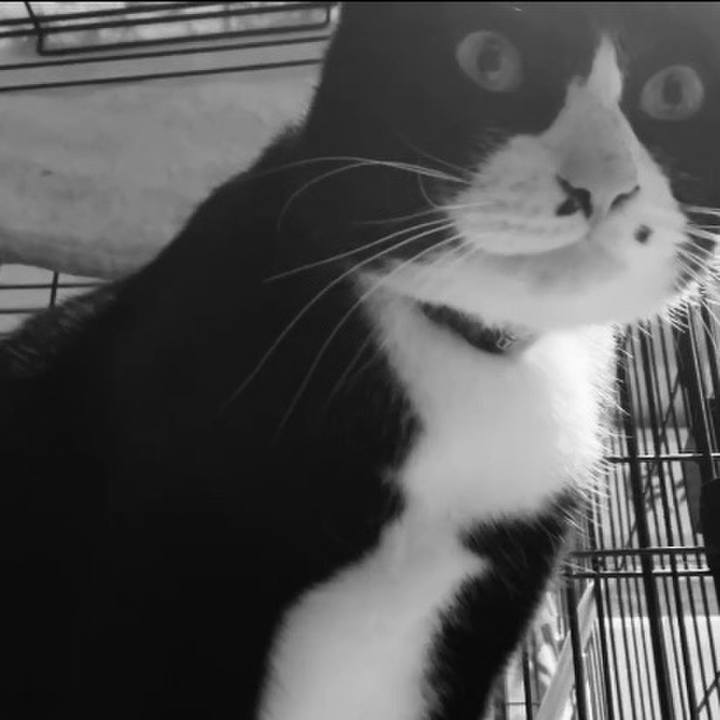 5c21f5da 85f7 480b 973b 202472f7a37f 1739526056562