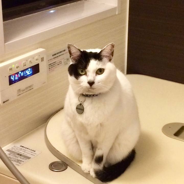 5c223210 db9d 4316 b3b4 d6d146a9cbd8 1569762111848