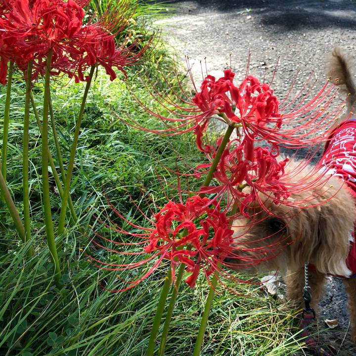 5c223ce6 a9b6 42b7 8794 56c288a65b18 1569937048115