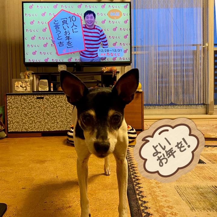 5c224794 8e72 4843 8b29 af7248e91ebf 1609107318450