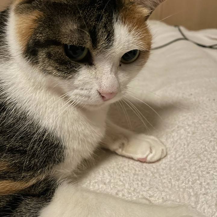 5c227ba4 ab75 4fa3 8379 563f93ec7327 1641556694374