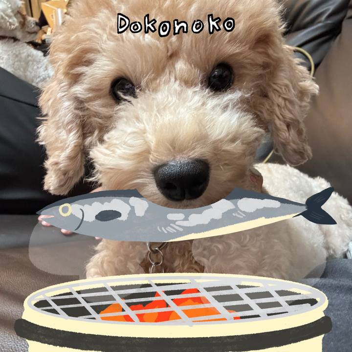 5c228968 17c1 4f54 b706 27dee4acd3ea 1761371003983