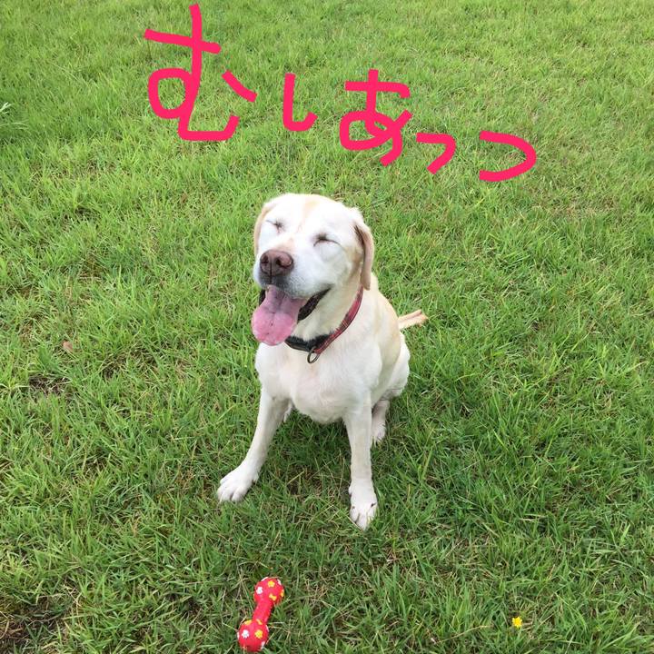 5c22c754 7f96 49cb 882f d9cf7b6a57ec 1564099900883