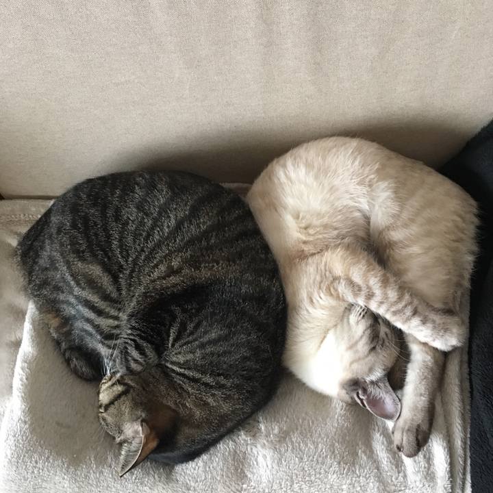 5c23418e 263c 421e bf75 56d20b691639 1546657053062