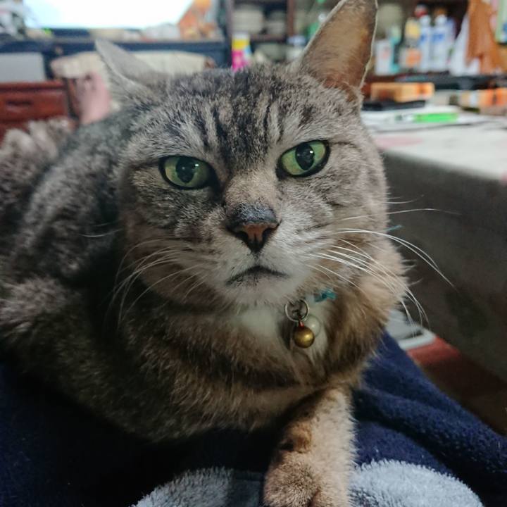 5c235106 2f6e 4df9 b310 16199c853dc0 1559302725409