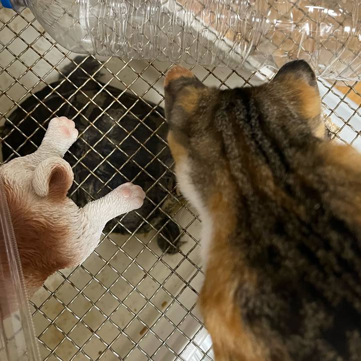 5c235b3f 2226 4207 8c8d 0602ad18e290 1658756011504