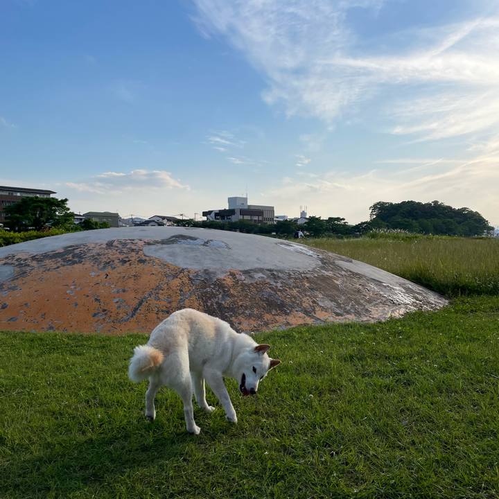 5c2361b4 4d0d 4d2a ba88 9a8959649160 1653996203324