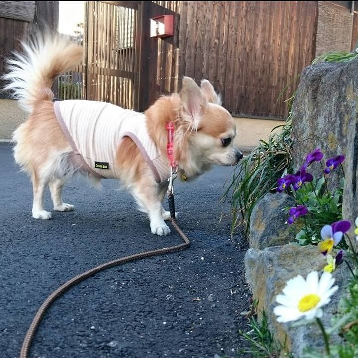 5c23a402 b9ed 4d5f ab31 59fbefd72ca2 1542713319069