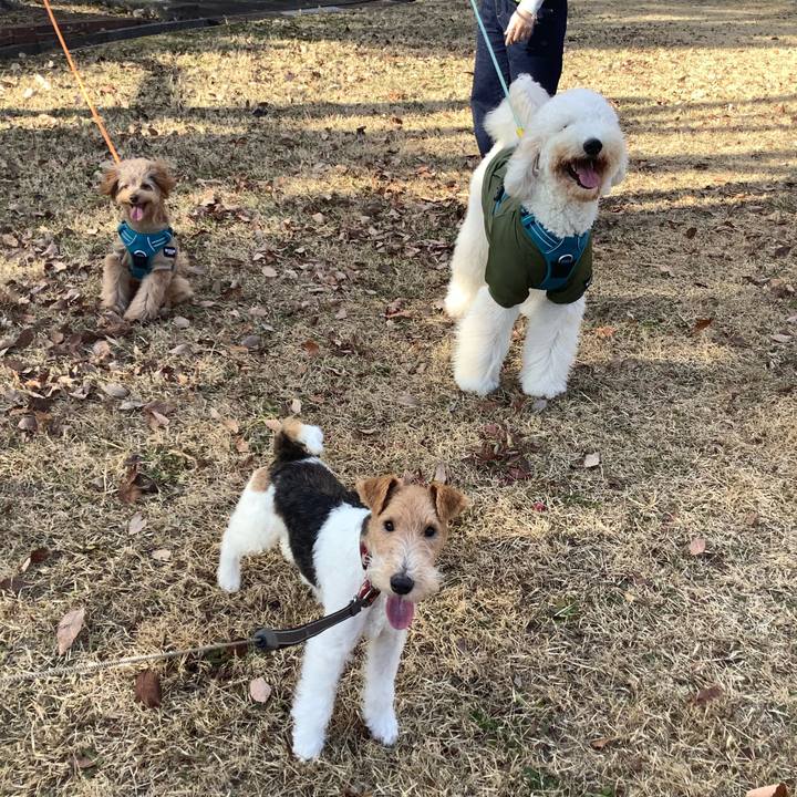 5c24018b 9695 45d7 ba7b 4a1b293e9771 1768104545996