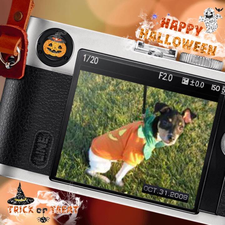 5c241456 e949 47b0 8fff 7f0c284516fd 1509426167141