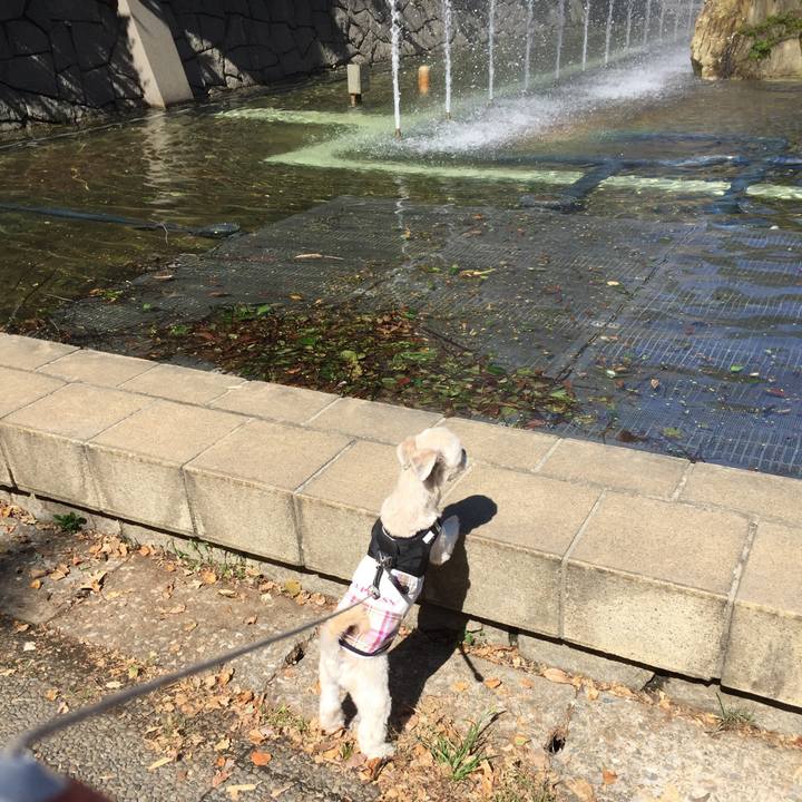 5c246a78 48e7 4c30 bf24 b47ff9f6abbd 1538897460847