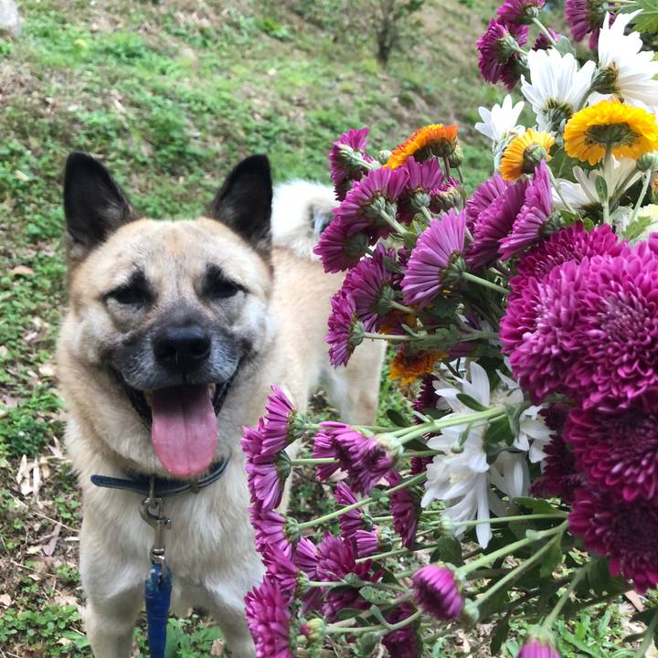 5c246d9c 0517 494e 9280 7ae9f61aabb1 1573286356036