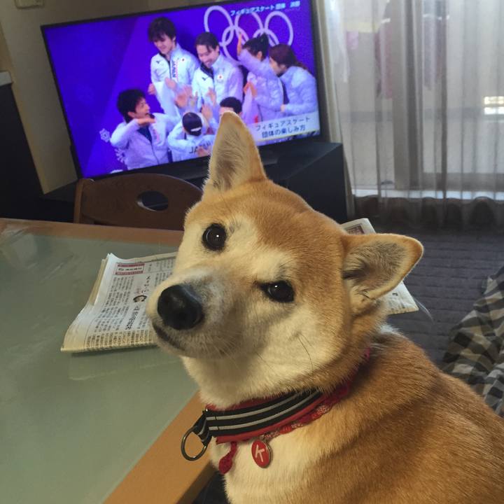 5c24d832 587f 4a1a 92d6 a6febf420a54 1518398427806