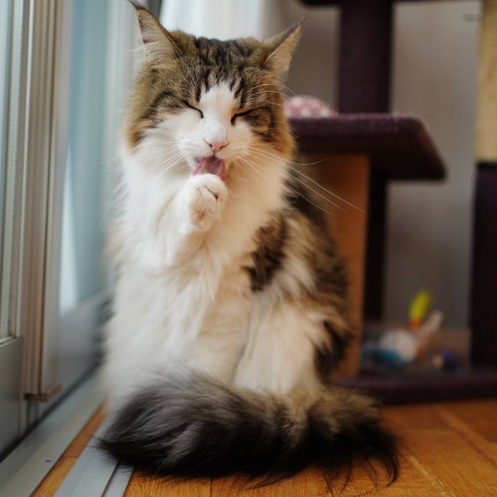 5c24e249 02d2 4f10 b5a4 e062a15e5867 1582108738055