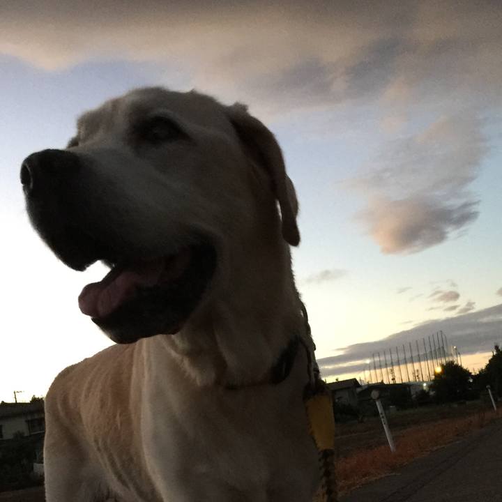 5c2502d7 f245 46f6 b28d d8ebe034b5de 1533897568048