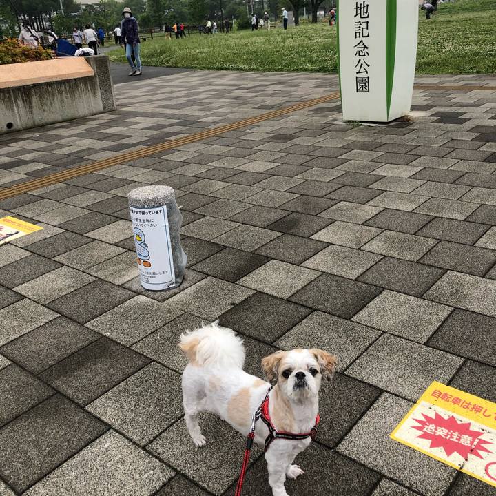 5c2503c2 4476 404f 95e9 9720f173f436 1592100483043