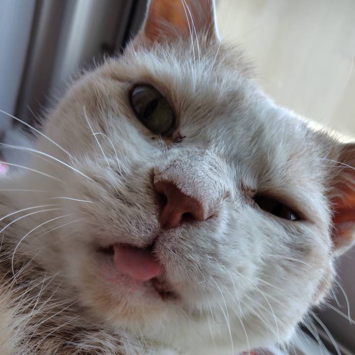 5c250988 377c 435c b355 74dd22af5c85 1758628832818