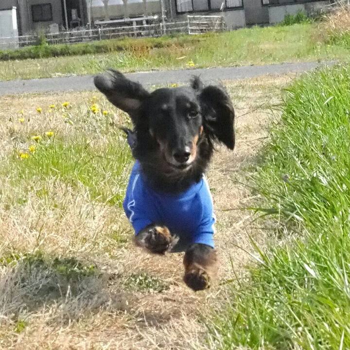 5c25605b 606b 4cbf a41b b694871b7dab 1586589928749