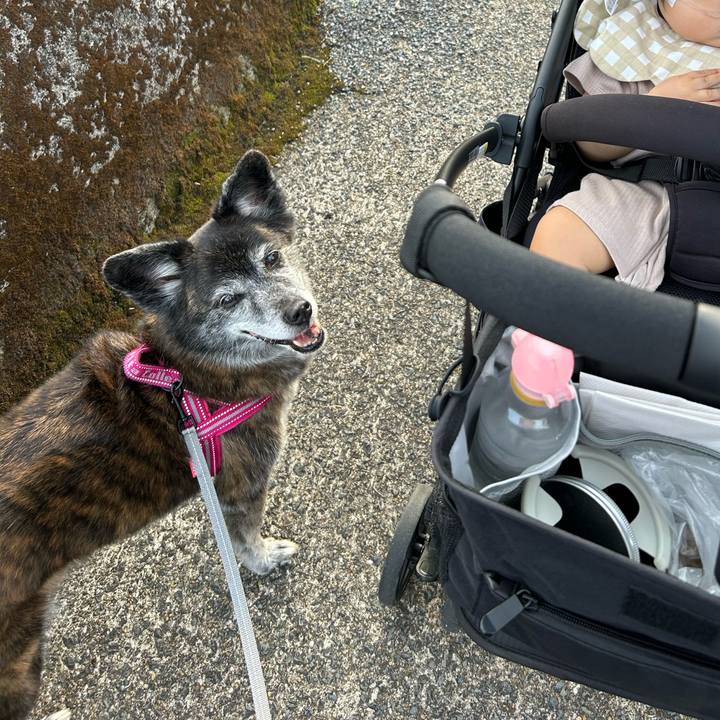 5c25716b b165 49ee b557 3a2229825408 1734056589511