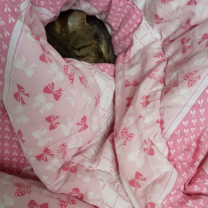 5c2573b0 4442 4bce 921c 41ec3542c2c0 1650153864604