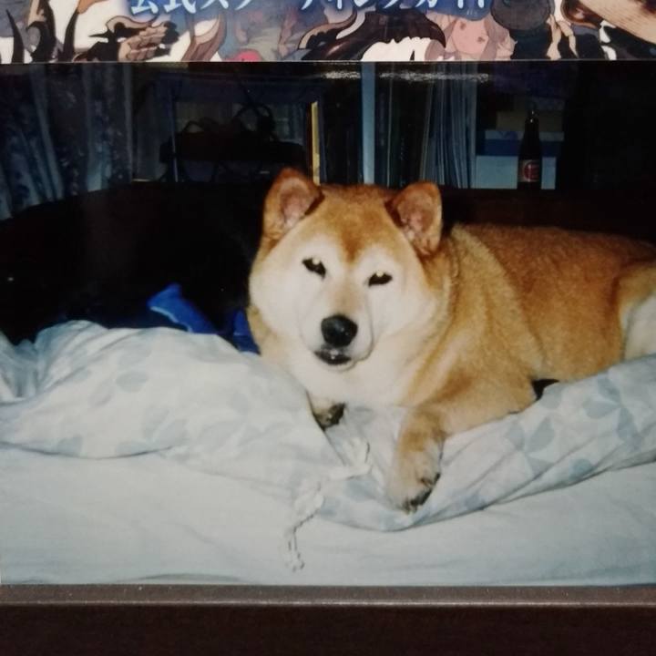 5c2574ed 322d 4c39 b55f 3836763a1eaf 1574573619556