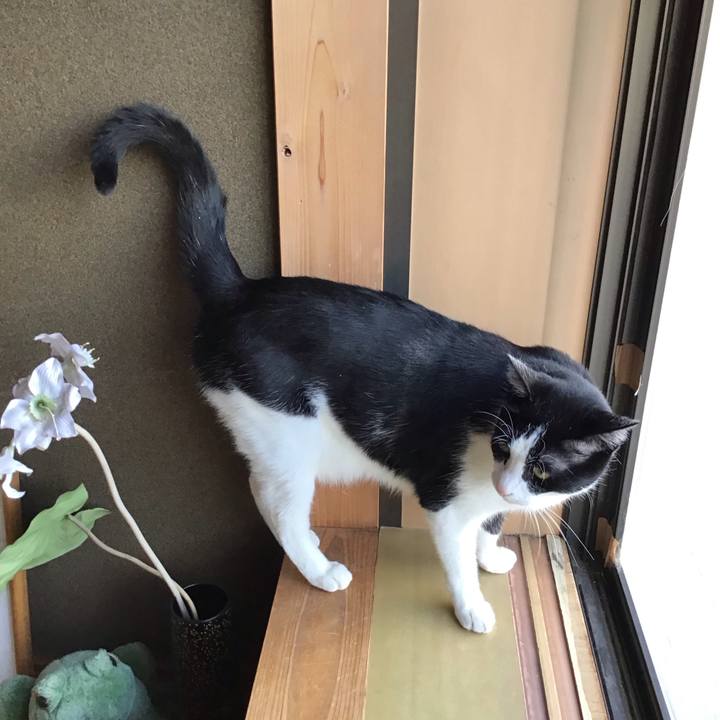 5c25918e 507b 44b9 8cdb a4988483bf11 1745483380248