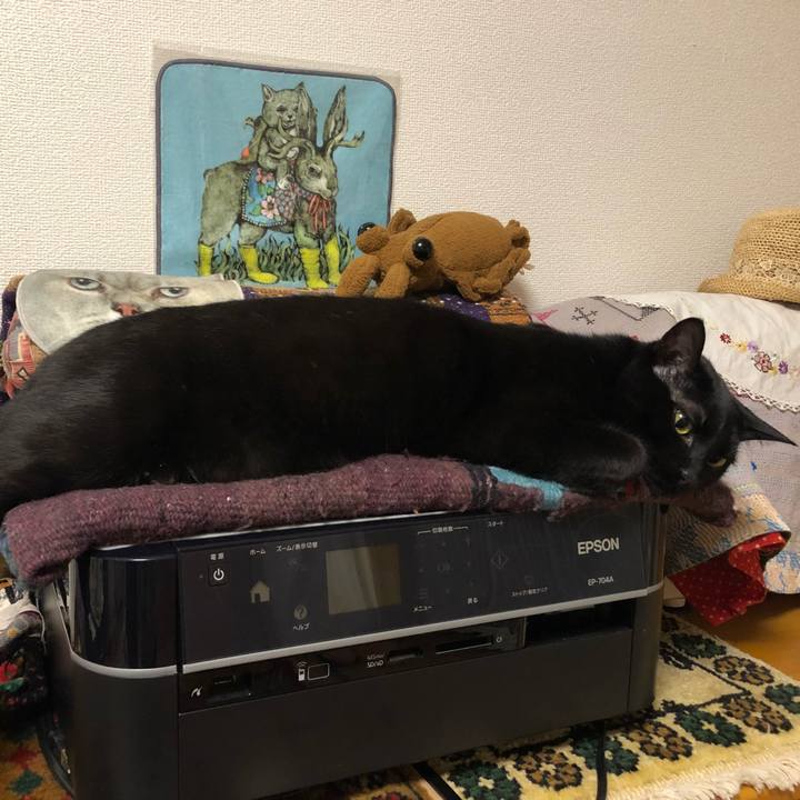 5c25ec82 7080 4964 9f51 27805800cf48 1522157098995