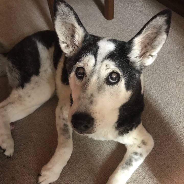 5c25f6f3 a721 4f9c a04b d5c4ea133406 1569026716858