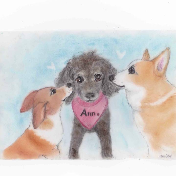 5c263d5a 66ca 4be1 b39a 1049bd4584f5 1595411302875