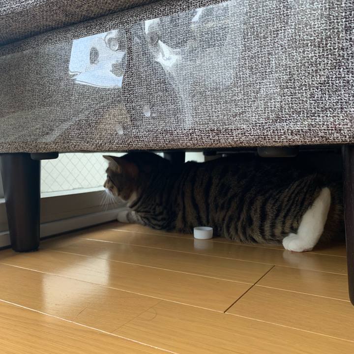 5c26416a 8a3a 47e5 9e3a 3bdbb5c3883d 1550194814831