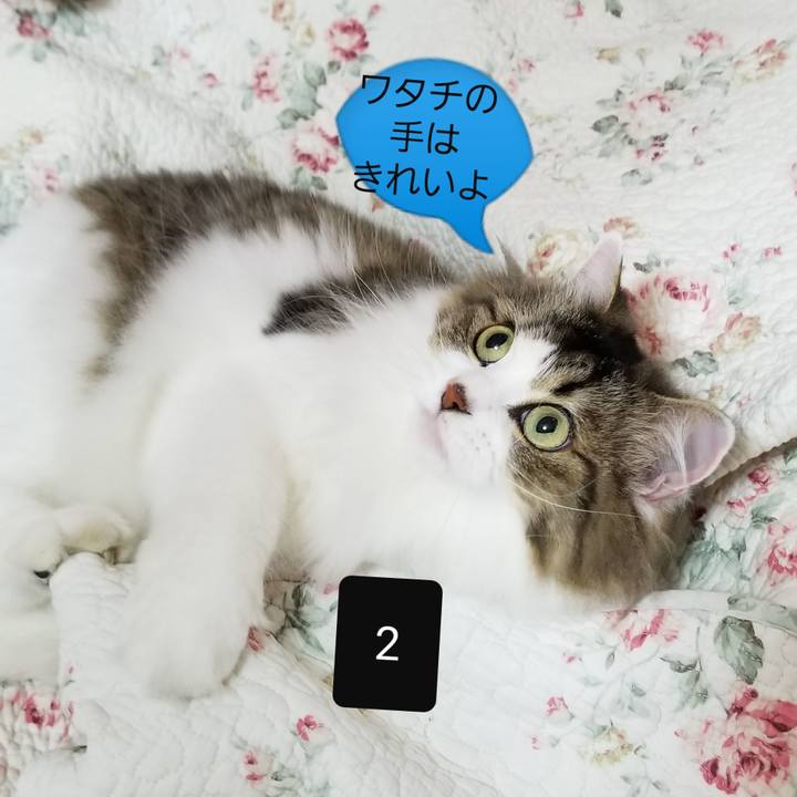 5c2655aa 8f7c 4b41 b527 a464ce58afbe 1564896421901