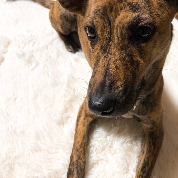 5c267743 3d8a 4a96 9c8a 9f64dcce5f2c 1579175453100