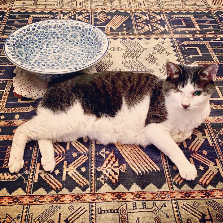 5c267e5b 80cf 49a8 bbd2 16b5aa09e2bf 1578834485134