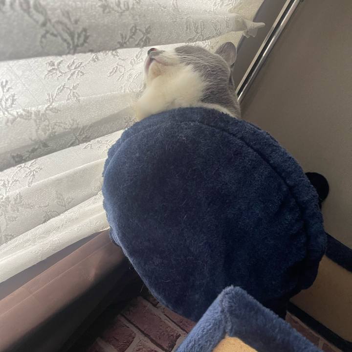 5c268bb9 647f 4a39 ae6d 2c615d76338d 1707960319588