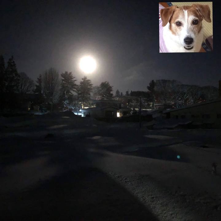 5c269247 8f2d 400d 9935 220f17c1eece 1548153588076