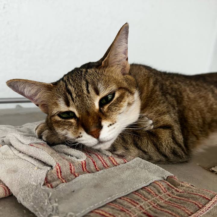 5c269bf5 b8c5 42f7 b275 1d7b23320f01 1774233847243