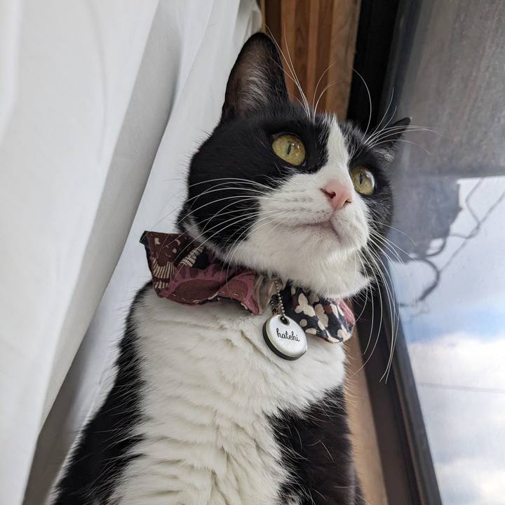 5c269d8d f0b8 4d6d 9b3e 3e0969008abf 1672641308453