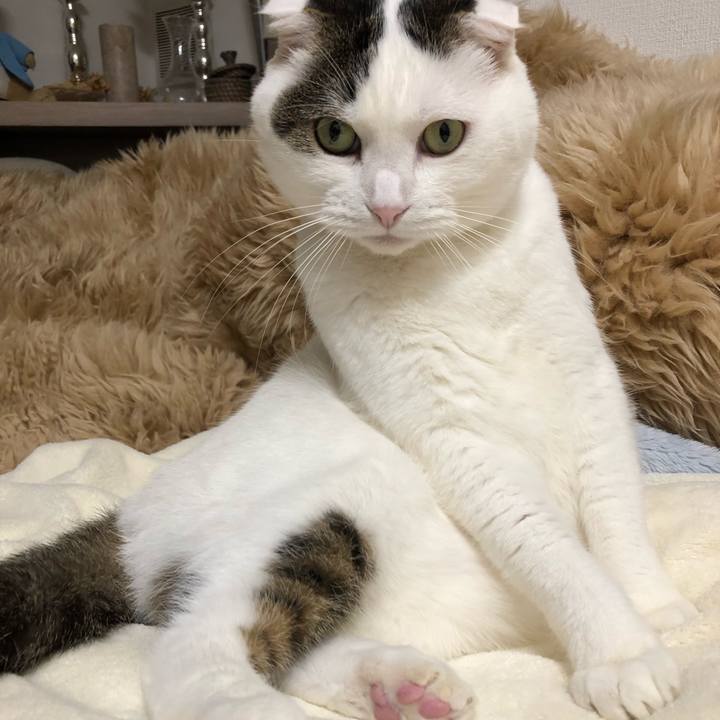 5c26af12 fde1 4cad be01 1462d891fd2f 1576933787662