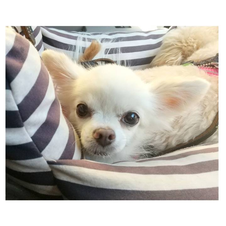 5c26ea0e a949 4410 bf13 14e4431fbb8c 1632142083538