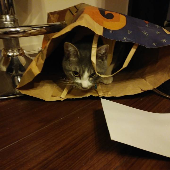 5c2723a7 47f0 4ce3 b9e7 3faf94e512a4 1584542163593