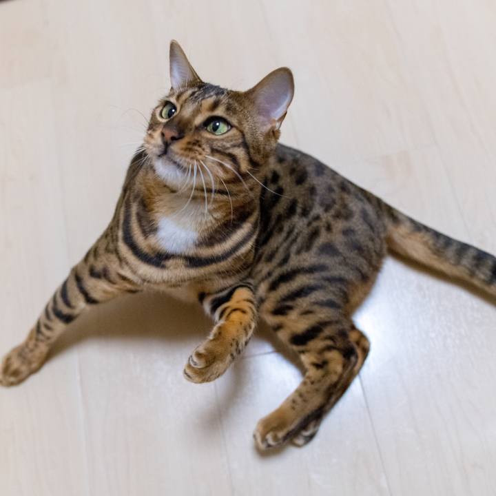 5c272e63 1cc3 4fd0 a696 682e89f14edb 1520514033968