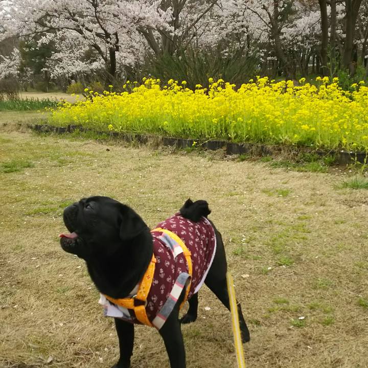 5c27628d fffa 437c 9d3f a6c0c73812c5 1523629054097