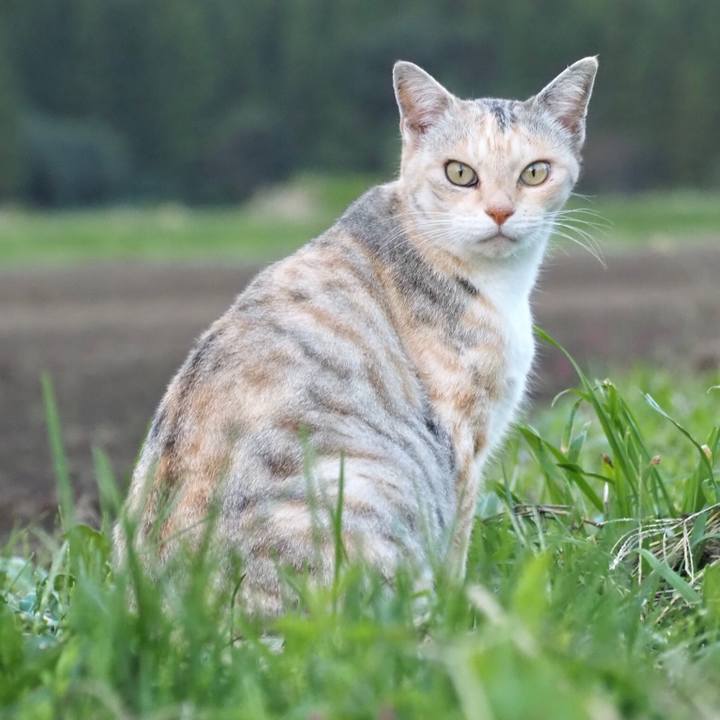 5c2768b0 7267 4fa2 a0d9 96f837f59d00 1765799251370